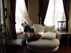 when_u_coming_home